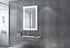 Milo LED Anti-fog Front-Lit Rectangular Bathroom Mirror